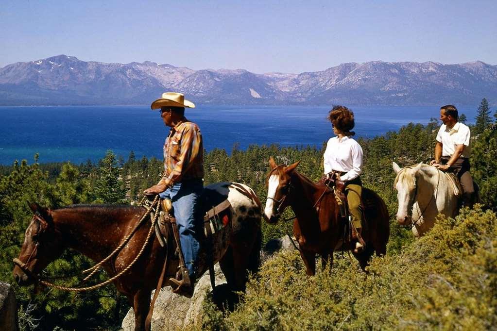 Evo Tahoe Hotel 4*